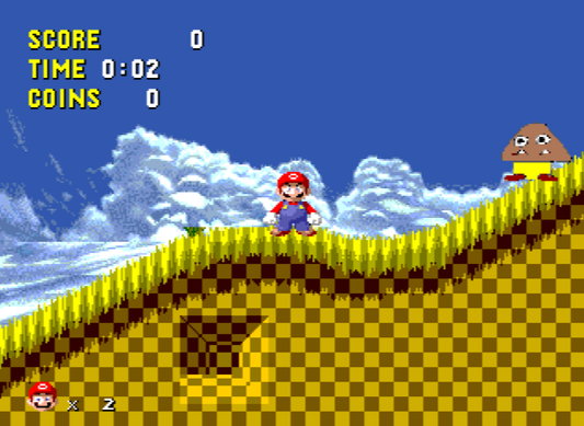 The Worst Sonic the Hedgehog Rom Hack Video Game Reproduction Game Cart Sega Genesis