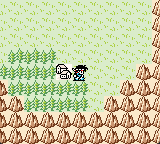 Final Fantasy Legend II DX (Game Boy Color Reproduction)