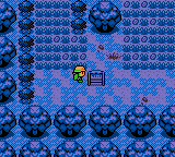 Pokemon Red ++ Version Gameboy Repro Game Cart