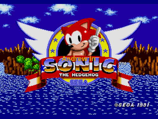 Andrew in Sonic the Hedgehog Sega Genesis Repro Game Cart
