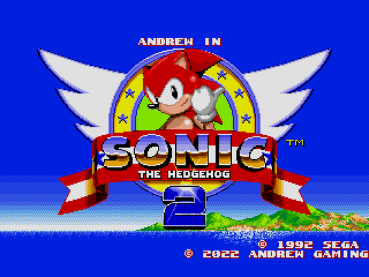 Andrew in Sonic the Hedgehog 2 Sega Genesis Repro Game Cart