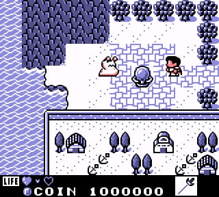 For the Frog the Bell Tolls RPG English Translated Repro Gameboy Nintendo