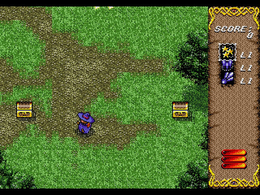 Twinkle Tale Shoot 'Em Up Style Game Sega Genesis