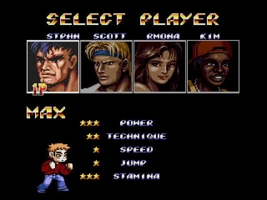 Scott Pilgrim in Streets of Rage 2 Sega Genesis Game Cart