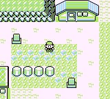 Pokemon Black Version Gameboy Repro Game Cart