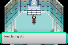 Pokémon Emerald Legacy – Game Boy Advance Reproduction