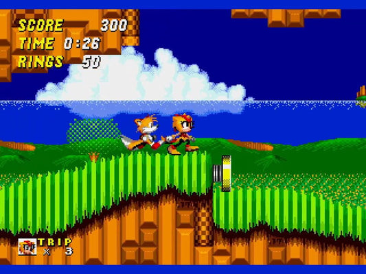 Amy &amp; Trip in Sonic the Hedgehog 2 – Sega Genesis Reproduction Cartridge